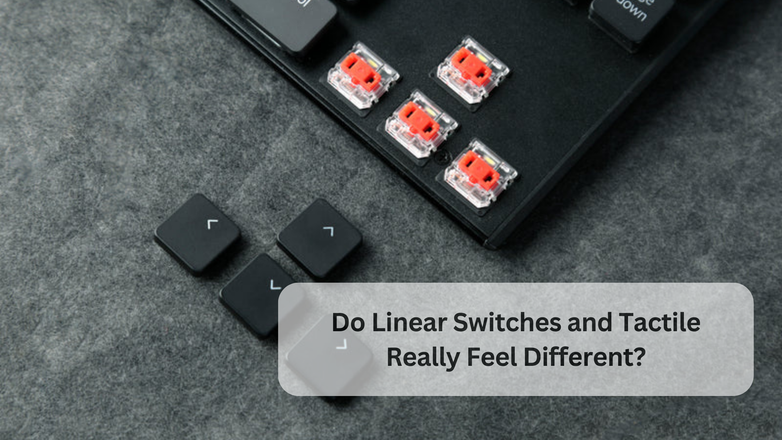 Do Linear Switches and Tactile Really Feel Different