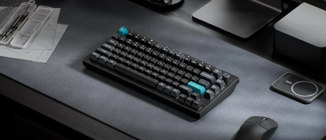 Best Mechanical Keyboard for Gaming: What NZ Gamers Actually Need to Know