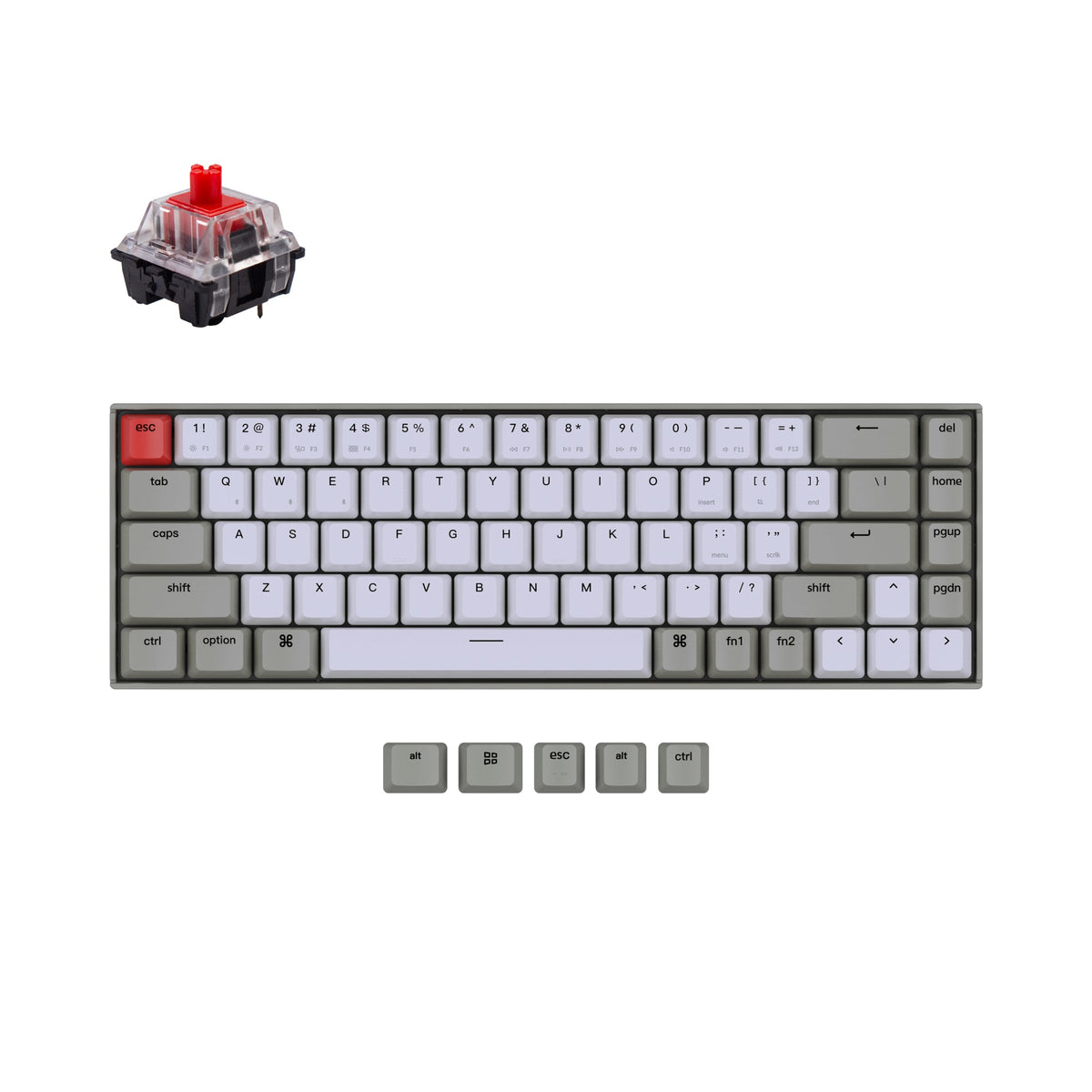 Wireless Keyboard Normal Keychron New Zealand | High End Mechanical Keyboards for Mac, Windows